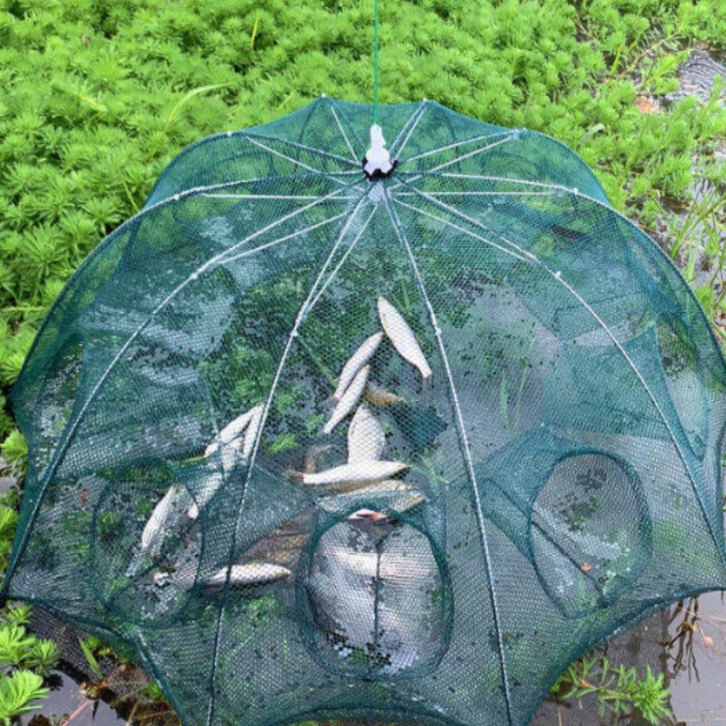 filet de pêche drina 8 troues