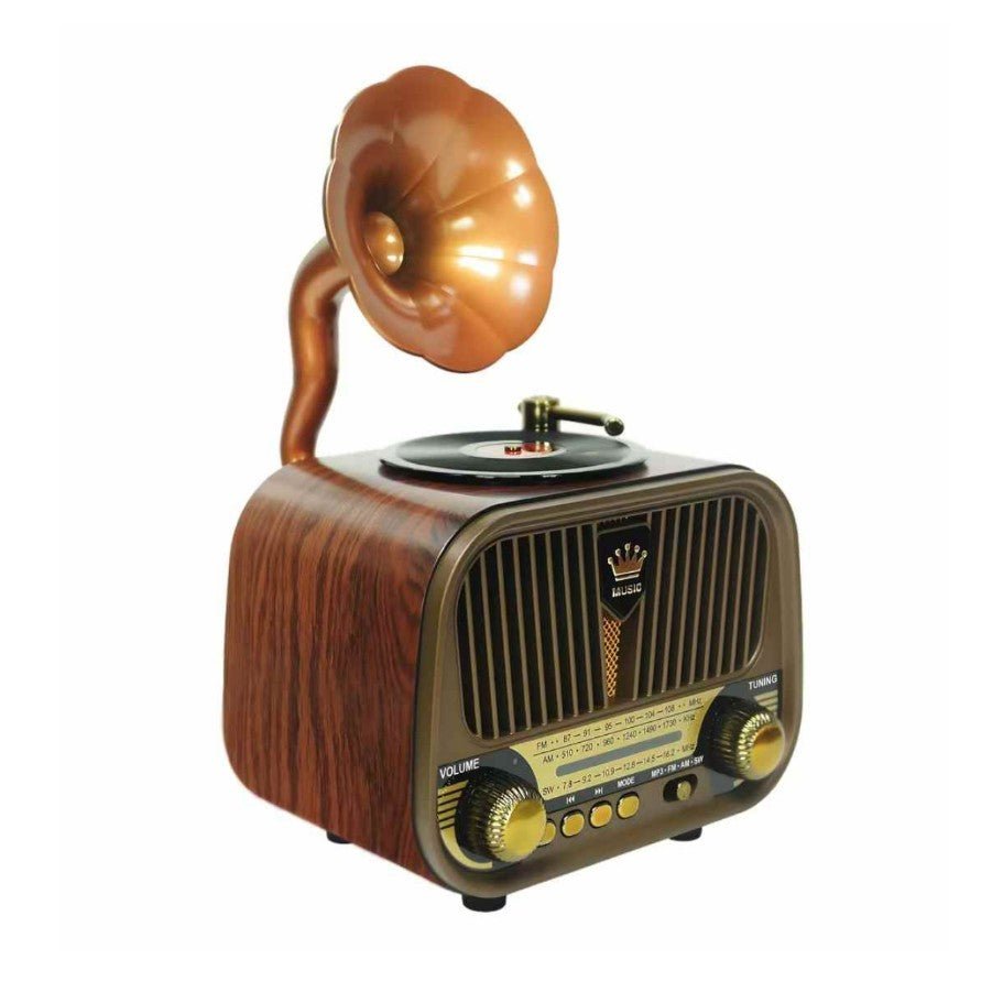 Radio Bluetooth sans fil MD - 1319BT - Homex Market