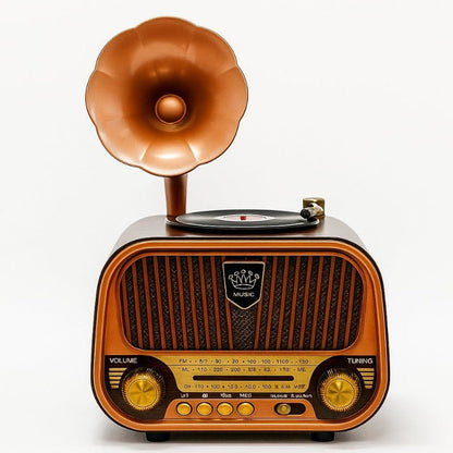 Radio Bluetooth sans fil MD - 1319BT - Homex Market